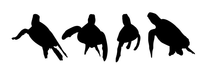 Green sea turtle silhouette 04. Good use for symbol, logo, web icon, mascot, sign, or any design you want.