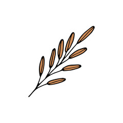 Single hand drawn herbal element on a white isolated background. Doodle, illustration simple outline.It can be used for decoration of textile, paper and other surfaces.