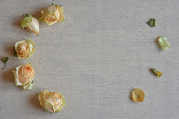  wilted roses background