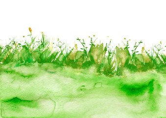 Watercolor illustration. background with vintage floral pattern - grass, wild plants of green, yellow color. Watercolor card, postcard, invitation. green watercolor natural, organic, bio, eco label