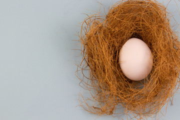 In the nest there is one white chicken egg on a blue background. place for text, easter holiday concept