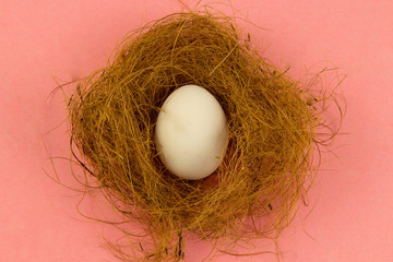 In the nest there is one white chicken egg on a pink background. place for text, easter holiday concept