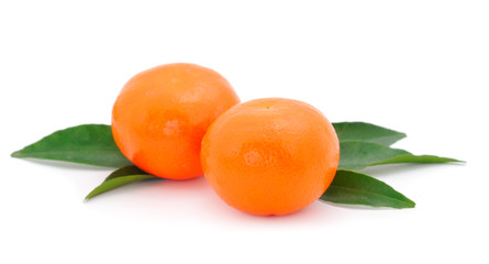 Two tangerines isolated.