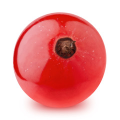 Closeup of red currant berry isolated on a white background.