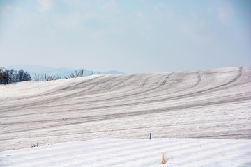 融雪剤がまかれた雪の畑