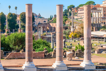 Obraz premium Ancient ruins of the Roman Forum in Rome, Italy