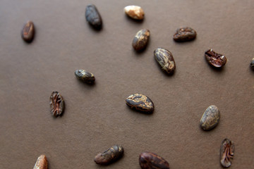 Fototapeta na wymiar chocolate and food concept - cocoa beans on brown background