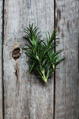 closeup of a fresh green rosemary leaves on wooden background