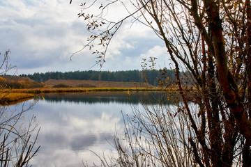 Obraz premium Autumn landscape with water, yellow glass and yellow forest background