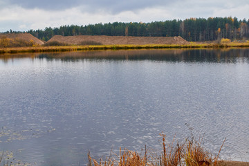 Autumn landscape with water, yellow glass and yellow forest background