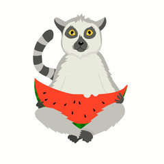 vector illustration. Lemur sits eating a watermelon