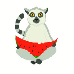 vector illustration. Lemur sits eating a watermelon
