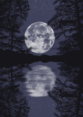 Fototapeta na wymiar full moon over the lake