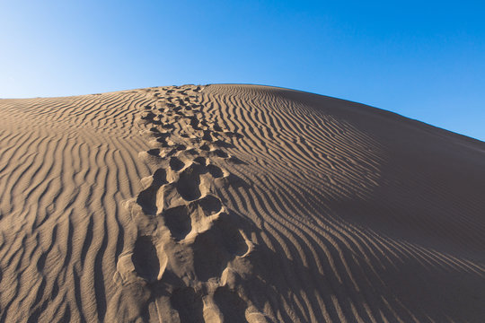 Wind Patterns And Footsteps In Sand Desert Bafgh In Yazd, Iran