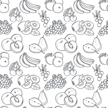Vector seamless pattern with doodle fruits; hand drawing fruits and berries for fabric, wallpaper, wrapping paper, textile, package, web design.