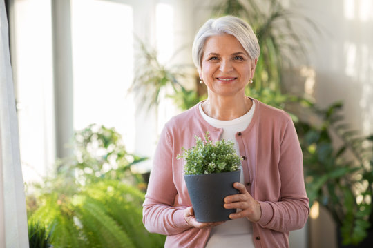 people, housework and plants care concept - happy smiling senior woman with flower in pot at home