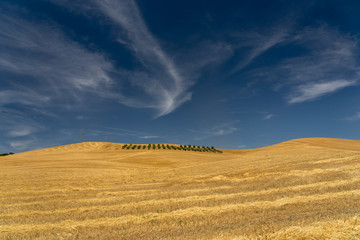 Fototapeta premium Rural landscape in Basilicata at summer
