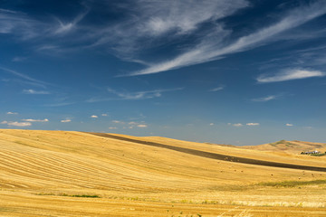 Rural landscape in Basilicata at summer