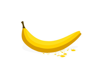 banana fruit. eps10 vector stock illustration.