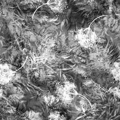 Seamless vintage pattern, flowers, Plant in watercolor. Mimosa, acacia, air dandelion, inflorescences of flowers, pollen. Blossoming acacia or caragana tree. Fashionable background. Abstract splash 