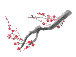 vector branch with red flowers on a white background
