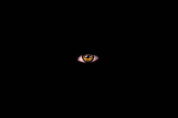 Eye in darkness
