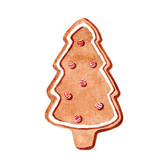Watercolor illustration of a brown gingerbread cookie in the form of a Christmas tree with white and red icing. Hand drawn painting