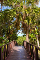 Wooden bridge to the Atlantic ocean through the forest, Cuba