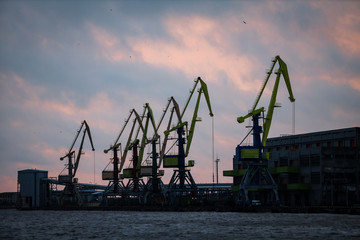 Obraz premium Port view of multiple big shipping cargo cranes.