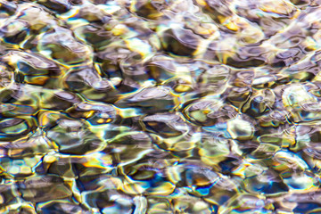 The surface of clear water in a pond