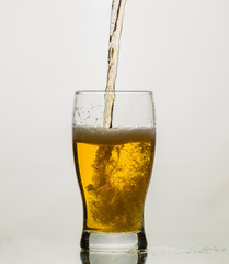 Beer