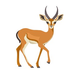 Naklejka na ściany i meble Gazelle or antelope with horn. African mammal animal in wildlife. Vector