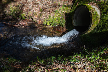 冬の樹木公園を流れる小川