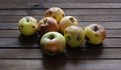 Ugly apples on dark wooden surface. Food waste.
