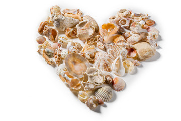 Heart-shaped composition, composed of various and deverse sea shells, on a white plane.
