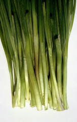 Onion plant, Allium cepa, use for cooking, india
