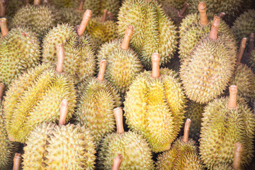 Durian fruit on texture background for sale in the tropical fruit market