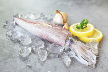 Raw squid on ice with salad spices lemon garlic on white plate background - fresh squids octopus or...