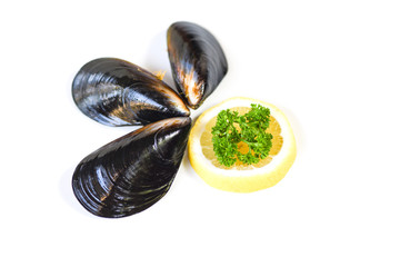 Mussels isolated on white background - Green mussel shell with parsle and lemon