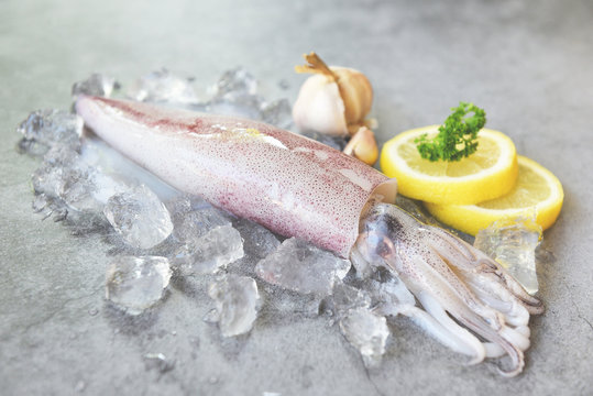 Raw squid on ice with salad spices lemon garlic on white plate background - fresh squids octopus or cuttlefish for cooked food at restaurant or seafood market
