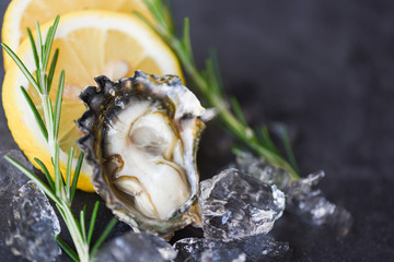Close up open oyster shell with herb spices lemon rosemary served table and ice healthy sea food raw oyster dinner in the restaurant gourmet food - Fresh oysters seafood on black plate background