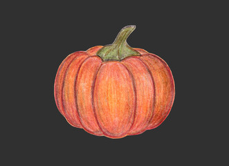 Orange pumpkin illustration isoalted on dark gray background. Autumn graphic icon. Halloween or Thanksgiving print. Colored Pencil drawing. Hand drawn fresh vegetable.