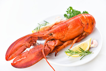 Fresh lobster food on a white plate background - red lobster dinner seafood with herb spices lemon rosemary served table in the restaurant gourmet food healthy boiled lobster cooked