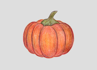 Orange pumpkin illustration isoalted on light background. Autumn graphic icon. Halloween or Thanksgiving print. Colored Pencil drawing. Hand drawn fresh vegetable.