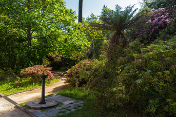 Botanical Garden of Porto, Portugal. Beautiful garden to visit and be in contact with the...