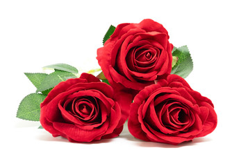 Beautiful rose isolated on white background, for decoration and happy valentine day or symbol love...