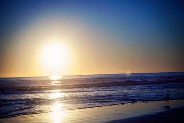 Fototapeta premium sunrise over the sea