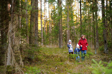 Obraz premium Two cute little sisters hiking in a forest with their grandmother on beautiful spring day. Children exploring nature.