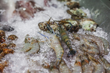 Fresh seafood in traditional Asian fresh market. Fresh shrimps on ice.