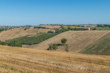 Fototapeta na wymiar hills in the Marche hinterland